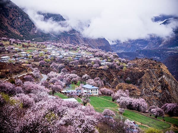 8 Days Tibet Tour to Nyingchi & Bomi - Nyingchi, Bomi, Ranwu, Lhasa