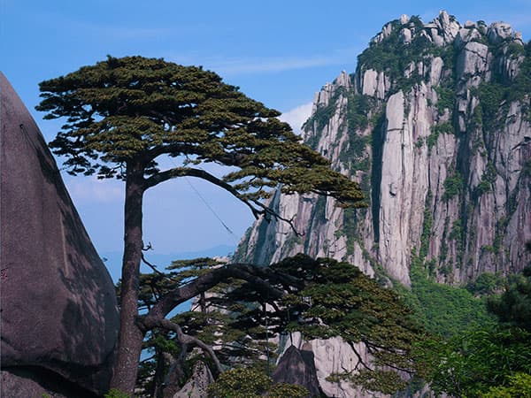 10 Days Scenic Tour to Zhangjiajie & Mt. Huangshan - Beijing, Zhangjiajie, Mt. Huangshan, Shanghai