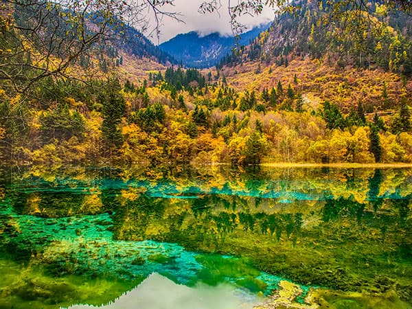 15 Days Jiuzhaigou and Chengdu Wonderland Tour - Beijing, Xi'an, Chengdu, Jiuzhaigou Valley, Guilin, Shanghai