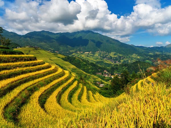 25 Days The Best Scenic China - Beijing, Xi'an, Chengdu, Jiuzhaigou Valley, Chongqing, Yangtze Cruise, Yichang, Shanghai, Mt. Huangshan, Hangzhou, Guilin, Hong Kong