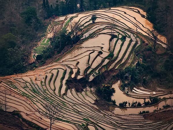 7 Days Yuanyang Rice Terraces Tour - Kunming, Jianshui, Yuanyang Rice Terrace