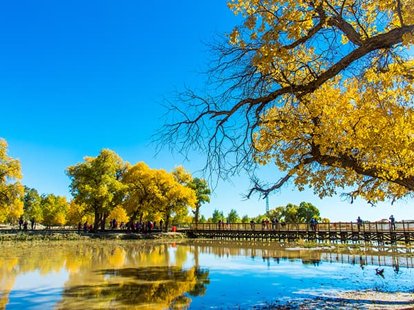 9 Days Inner Mongolia Tour from Grassland to Desert - Hohhot, Xilamuren Grassland, Baotou, Kubuqi Desert, Bayan Nur, Ejina Banner